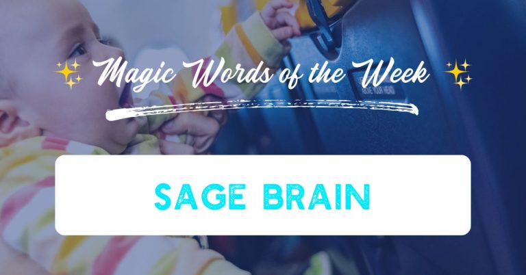Sage Brain
