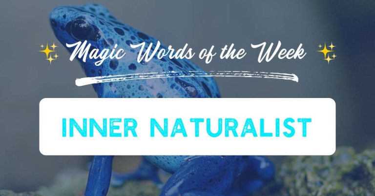 Inner Naturalist